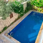 Evalacati - Harnup- Spring Breeze-preferred Partner
