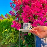 Evalacati - Harnup- Spring Breeze-preferred Partner וילה *