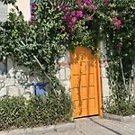 Evalacati - Harnup- Spring Breeze-preferred Partner אלאקאטי