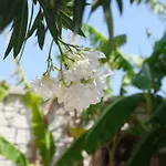 וילה Evalacati - Harnup- Spring Breeze-preferred Partner *