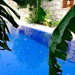 Evalacati - Harnup- Spring Breeze-preferred Partner *