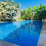 Evalacati - Harnup- Spring Breeze-preferred Partner *