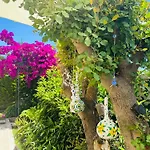 Evalacati - Harnup- Spring Breeze-preferred Partner *