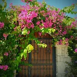 Villa Evalacati - Harnup- Spring Breeze-preferred Partner