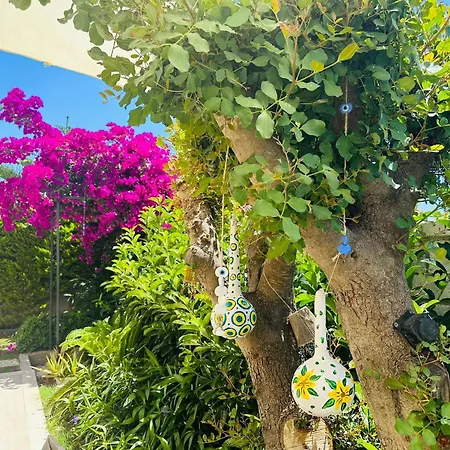 Evalacati - Harnup- Tamamen Muestakil *