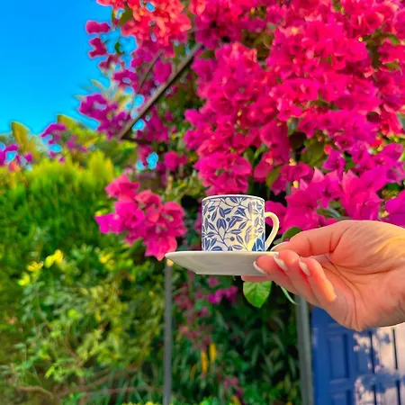 Evalacati - Harnup- Tamamen Muestakil 빌라 *