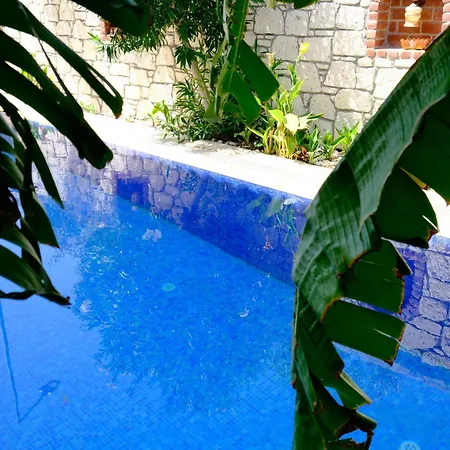 Evalacati - Harnup- Summer Breeze With Private Pool And Garden *