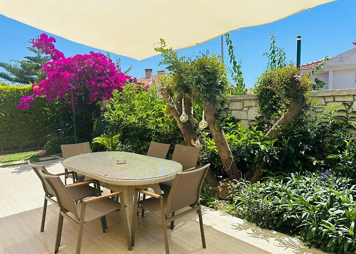 Evalacati - Harnup- Tamamen Muestakil אלאקאטי