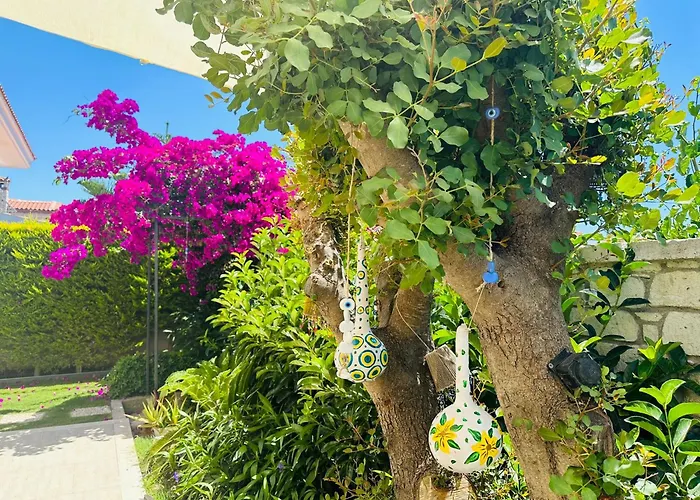 Evalacati - Harnup- Tamamen Muestakil *