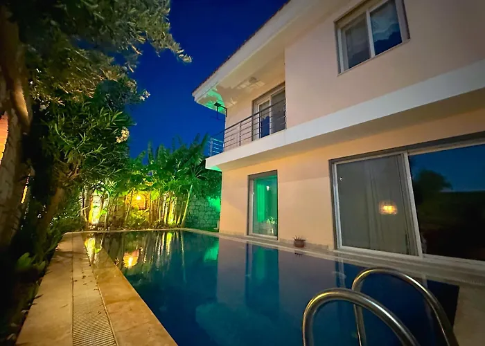 Evalacati - Harnup- Tamamen Muestakil אלאקאטי