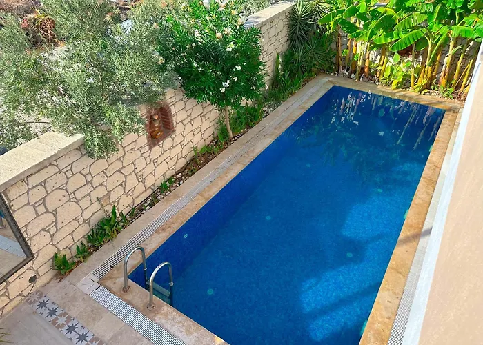 Evalacati - Harnup- Tamamen Muestakil