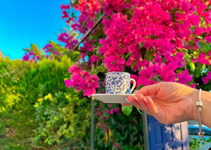 Evalacati - Harnup- Tamamen Muestakil וילה *