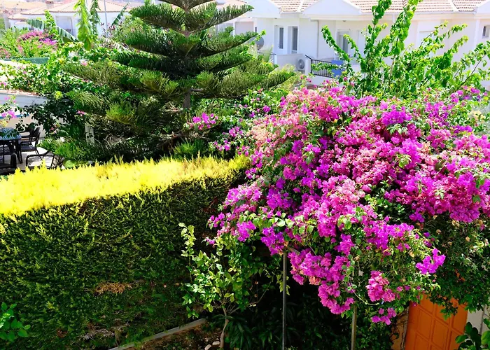 Evalacati - Harnup- Tamamen Muestakil וילה