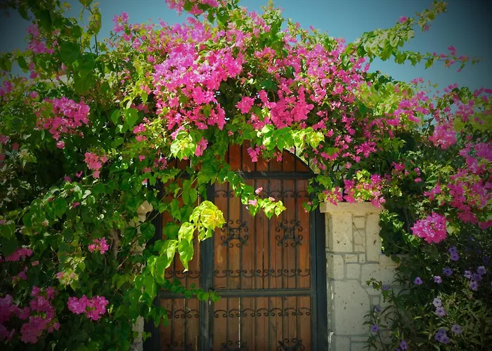 Villa Evalacati - Villa Harnup- Tamamen Müstakil Villa